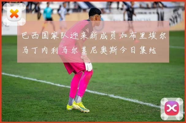 巴西国家队迎来新成员加布里埃尔马丁内利马尔基尼奥斯今日集结