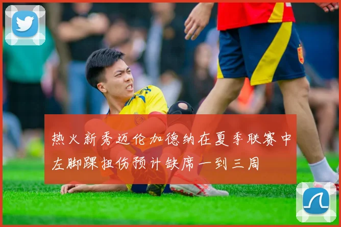 热火新秀迈伦加德纳在夏季联赛中左脚踝扭伤预计缺席一到三周